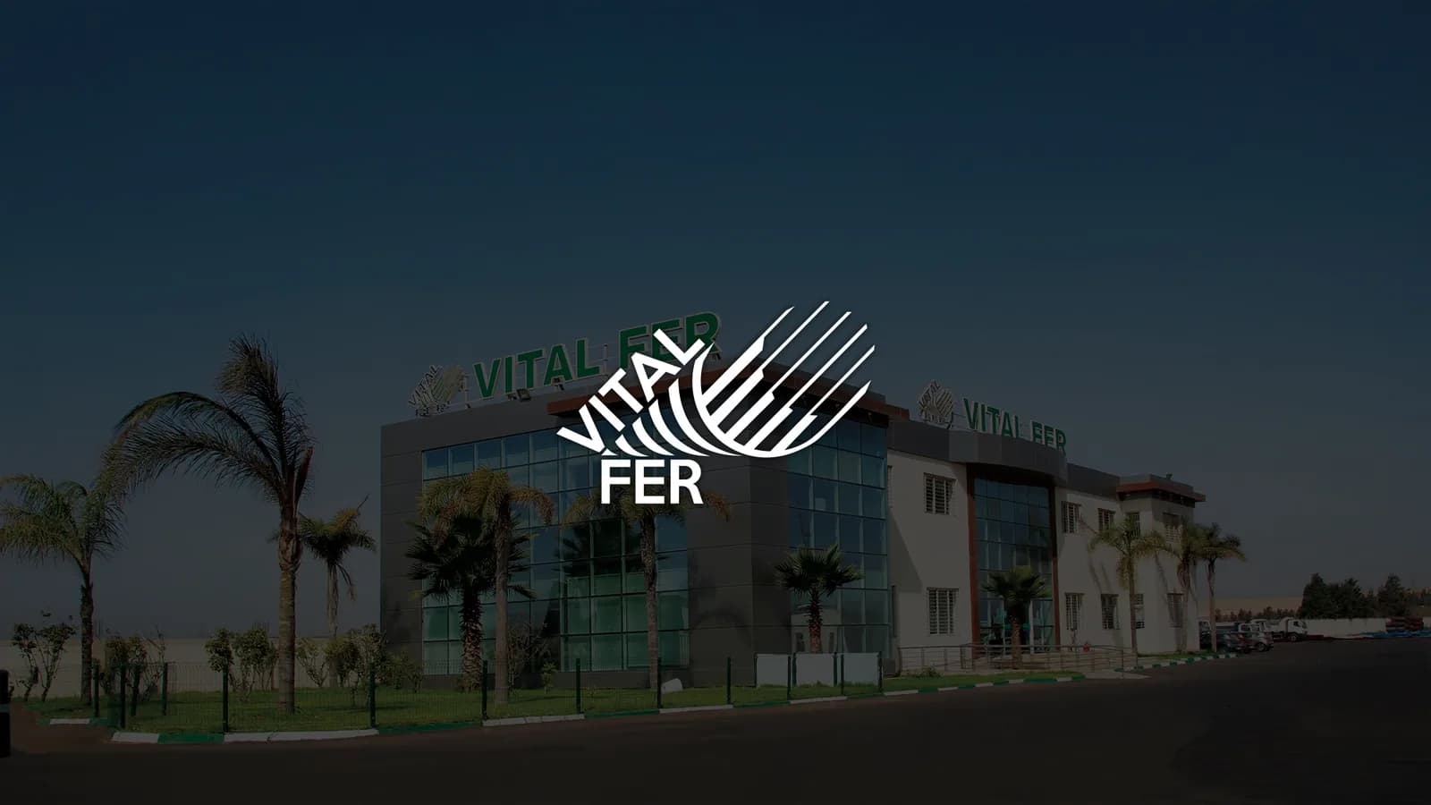 Vital Fer — aperçu