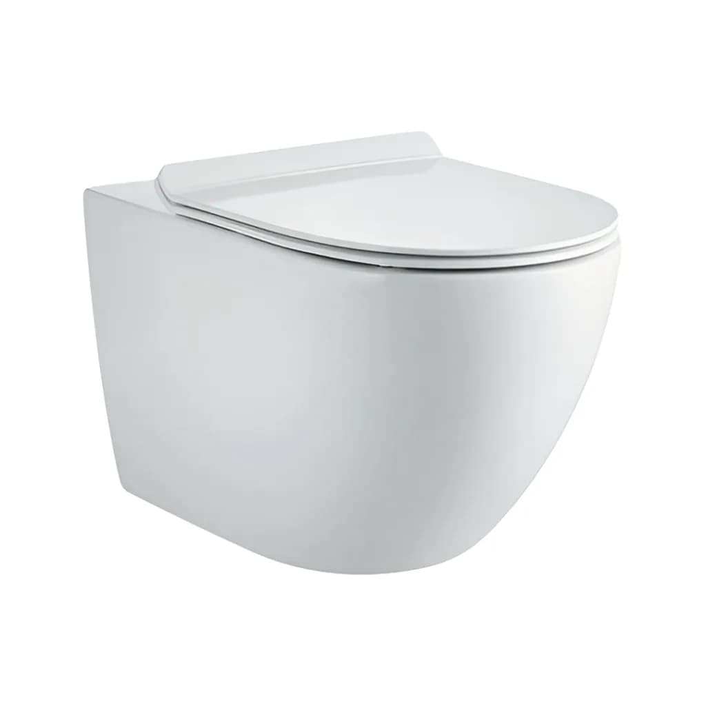 Toilette Suspendue Blanche