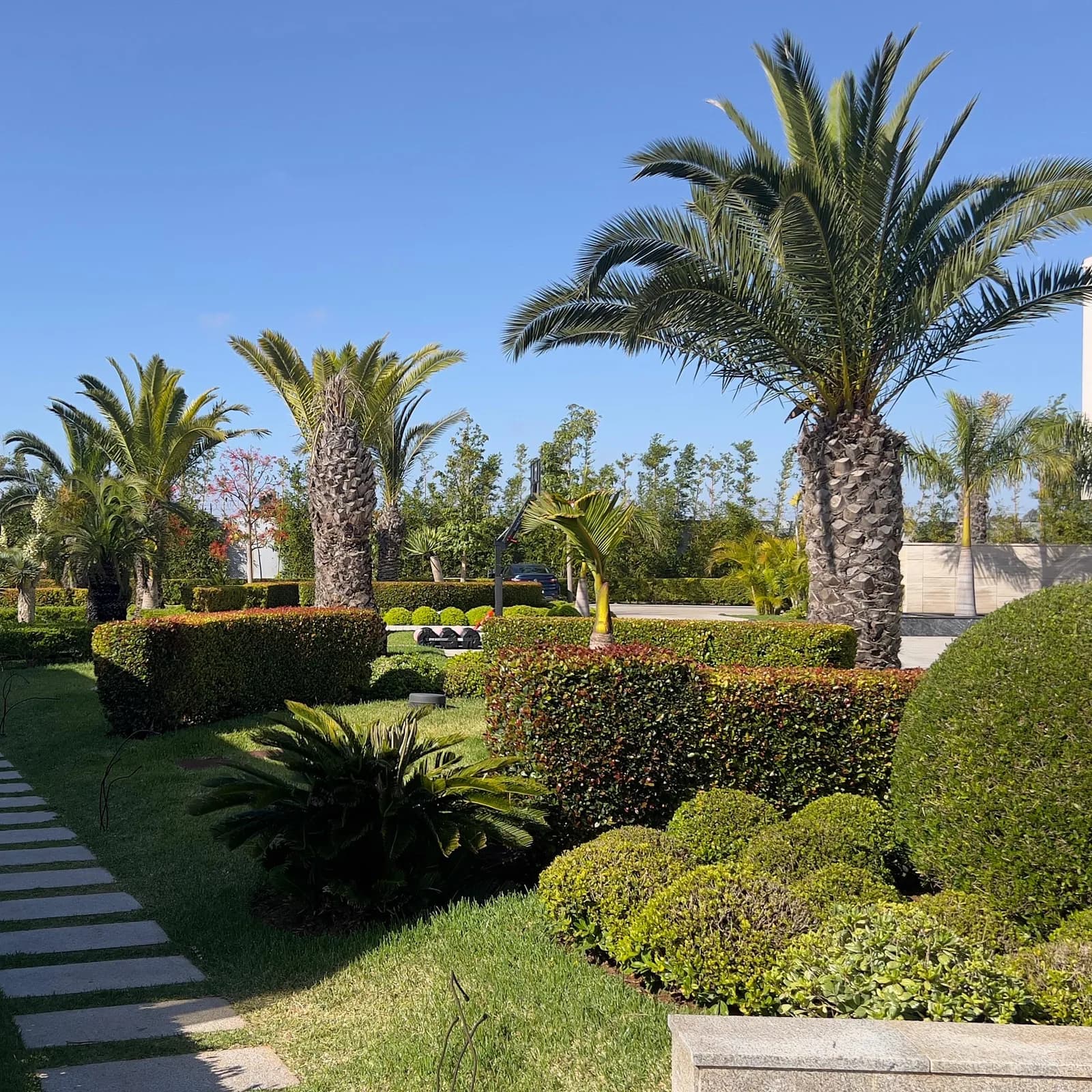 Société d’ingénierie du Paysage — aperçu