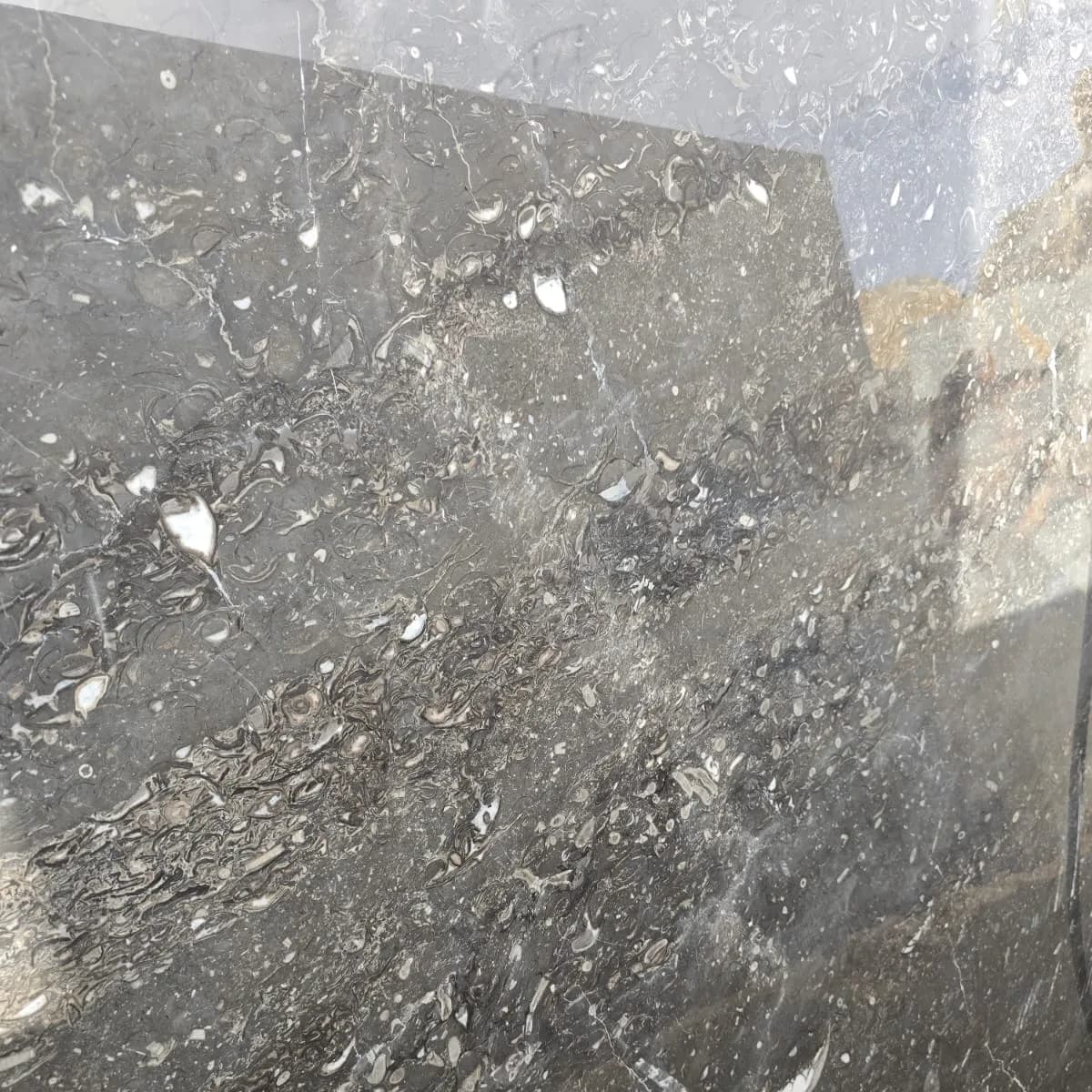 Marbre Gris Wyndham