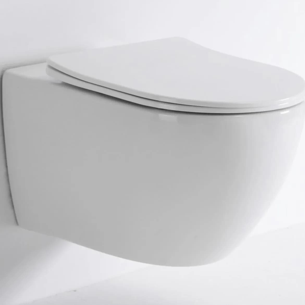 Cuvette de WC suspondu