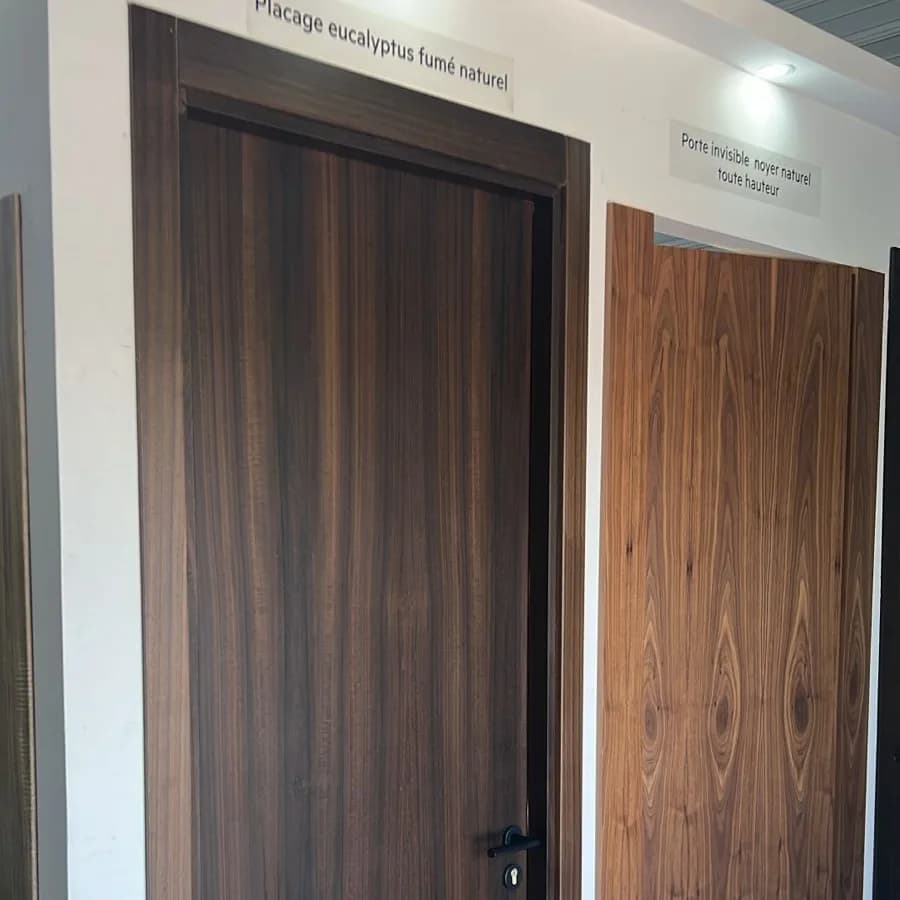 Porte en placage naturel 