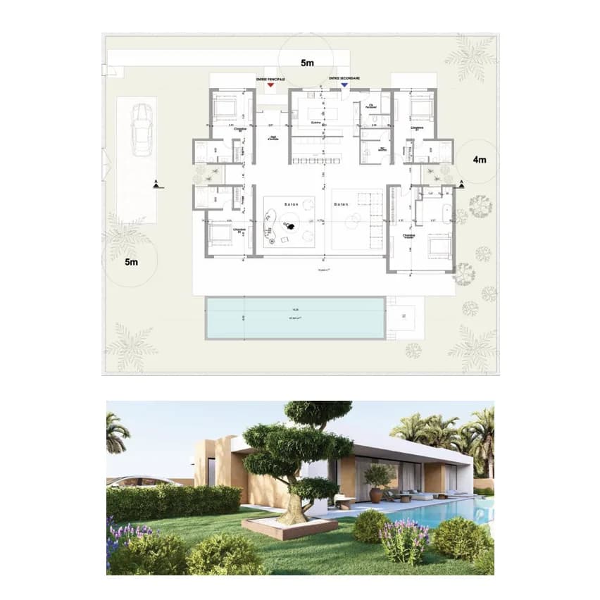 conception plan