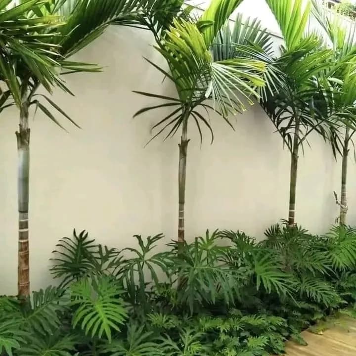 Aménagement paysager de la villa