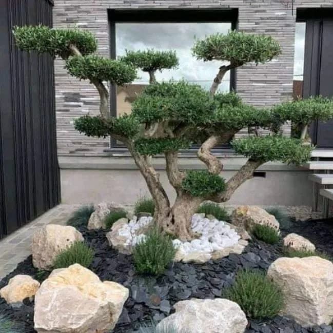 Aménagement  des espaces verts 