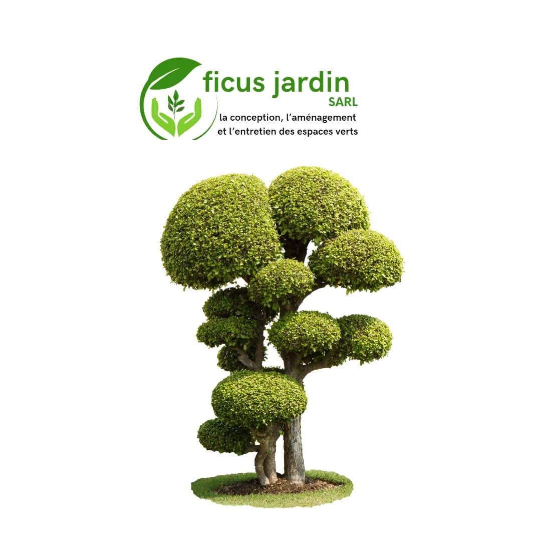 Les  Arbres en boules