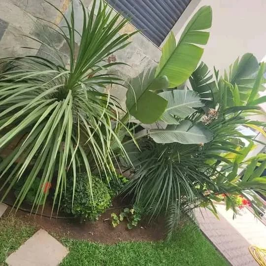 L’AMÉNAGEMENT DES JARDINS DE VILLA