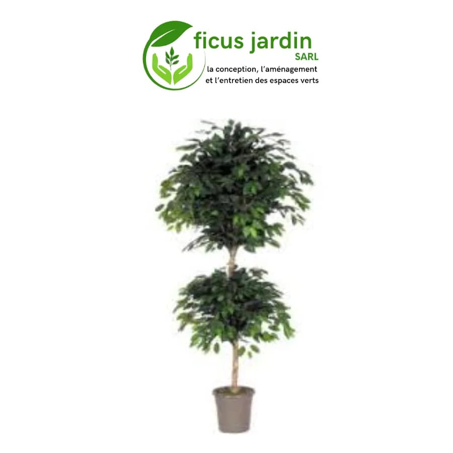 Les  Arbres en boules