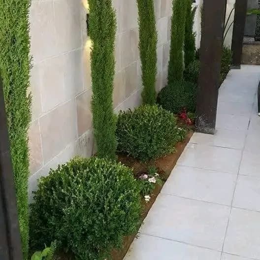 Aménagement paysager de la villa