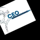 CEO ENGINEERING