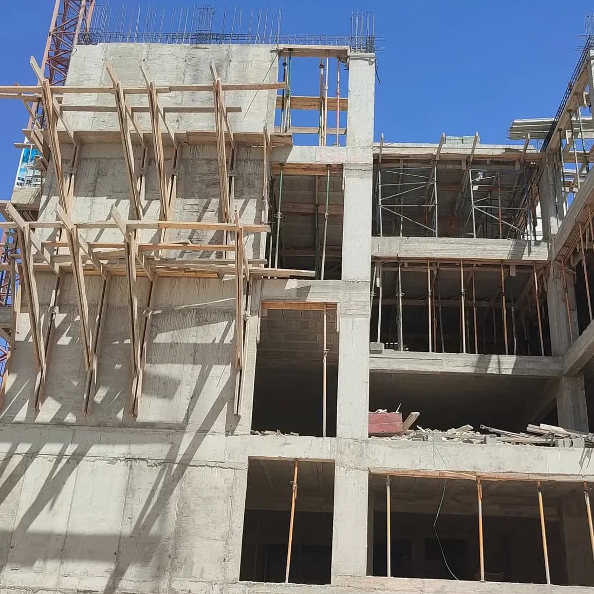 R+7 prestigia champ de course 