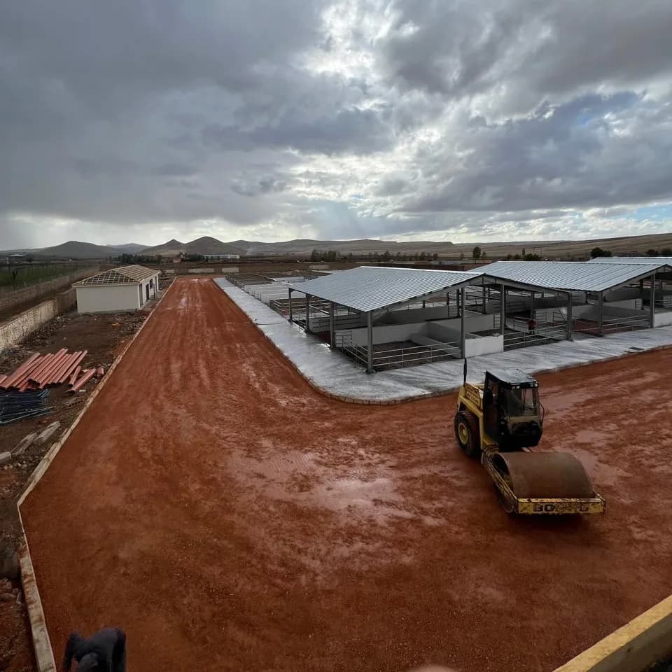 MARCHE MODERNE DES BISTEUX A TIMAHDIT