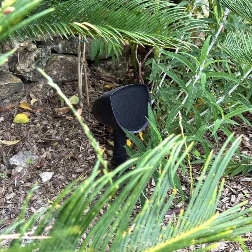 Villa F624 - Casablanca