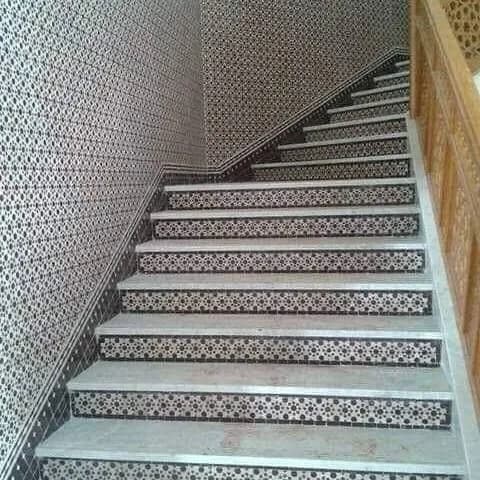 الزليج البلدي 