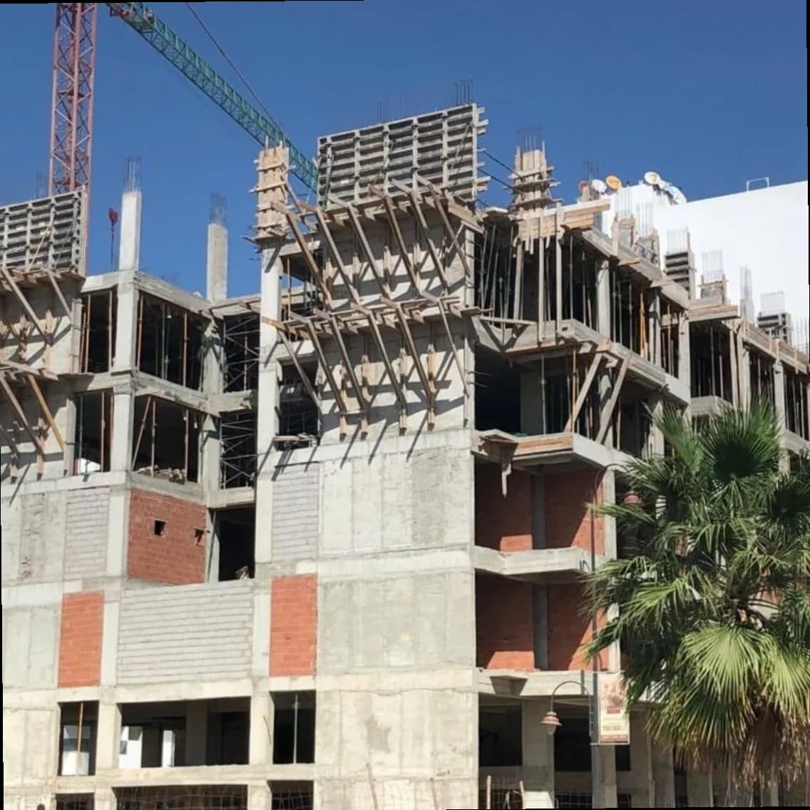 R+7 prestigia champ de course 