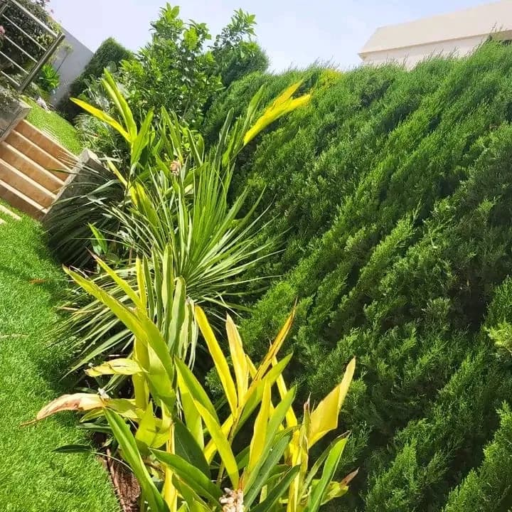 L’AMÉNAGEMENT DES JARDINS DE VILLA