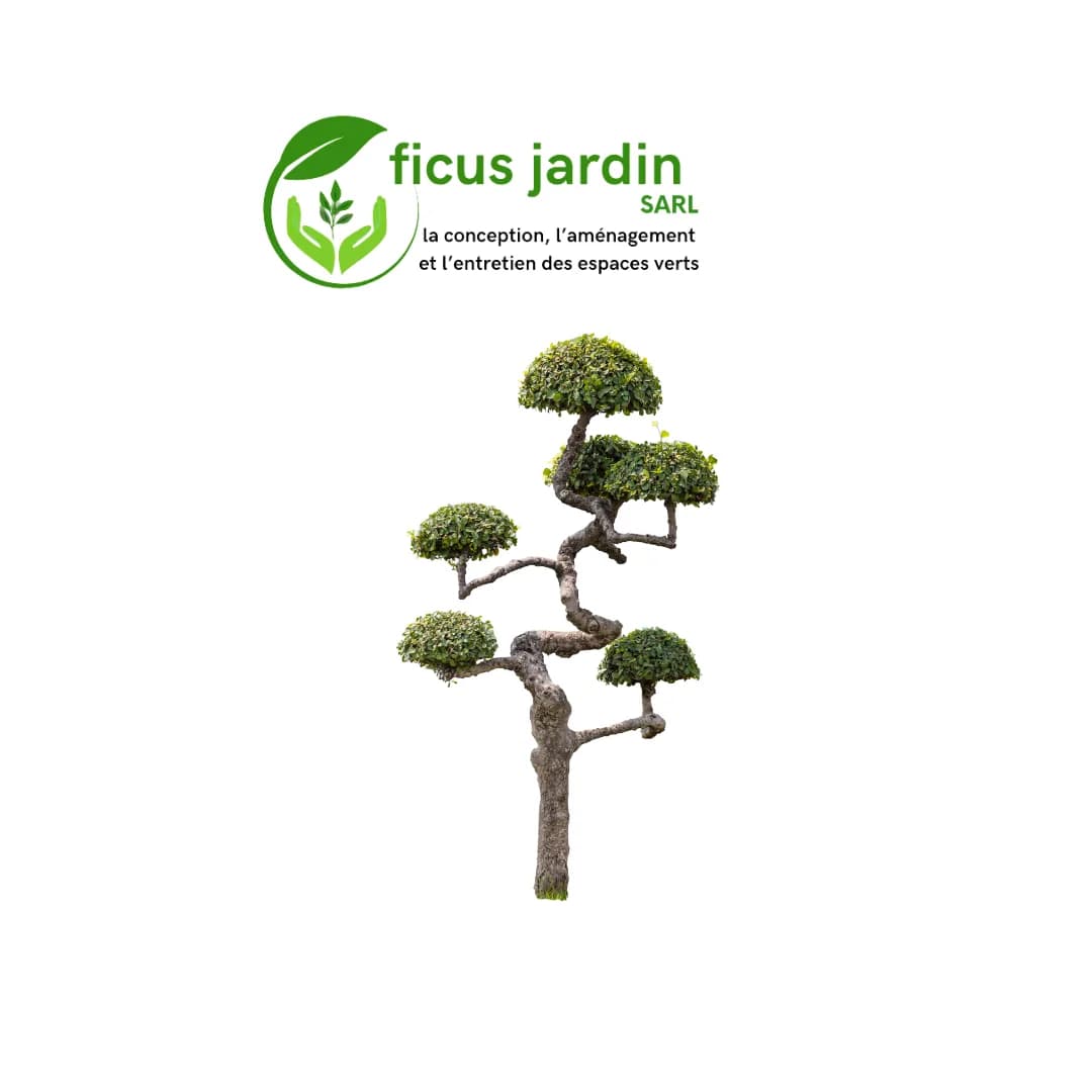 Les  Arbres en boules