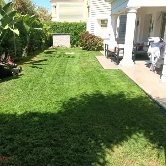 Aménagement paysager de la villa