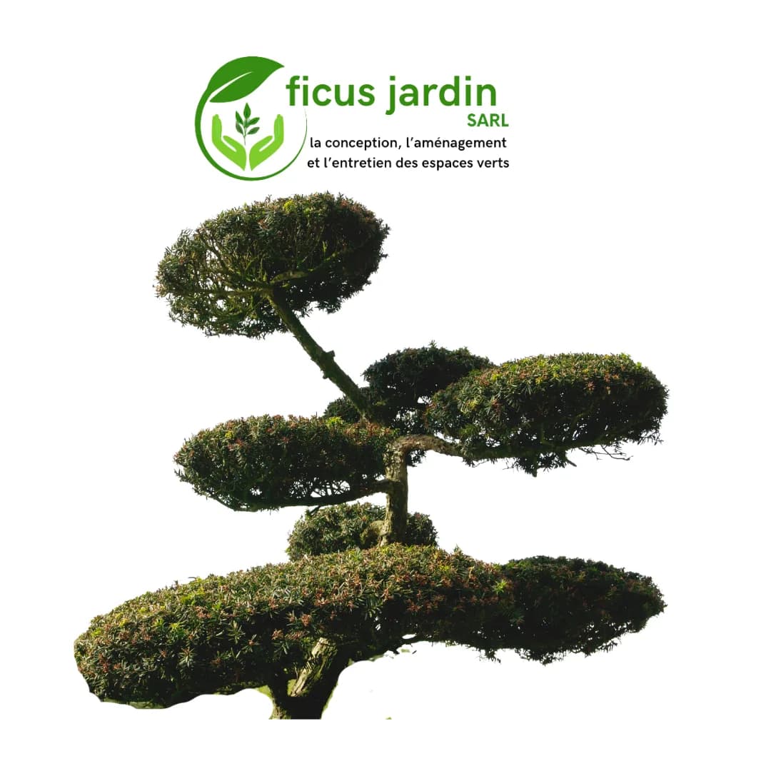 Les  Arbres en boules