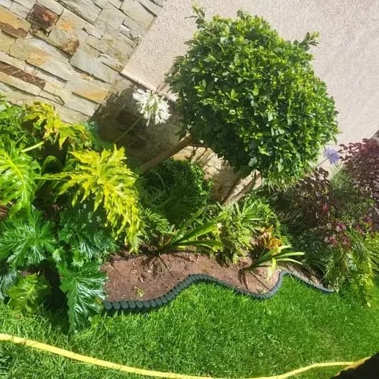 L’AMÉNAGEMENT DES JARDINS DE VILLA