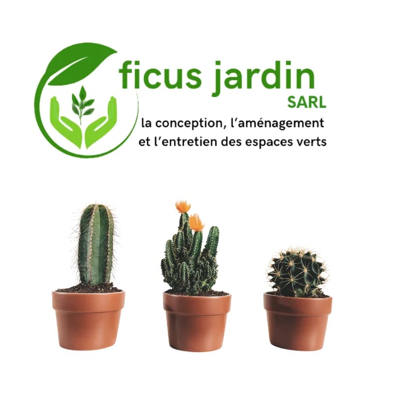 Cactus de jardin
