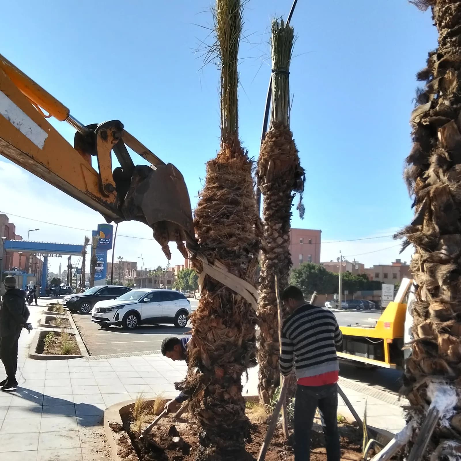 Eleg Garden Atelier — réalisation 3