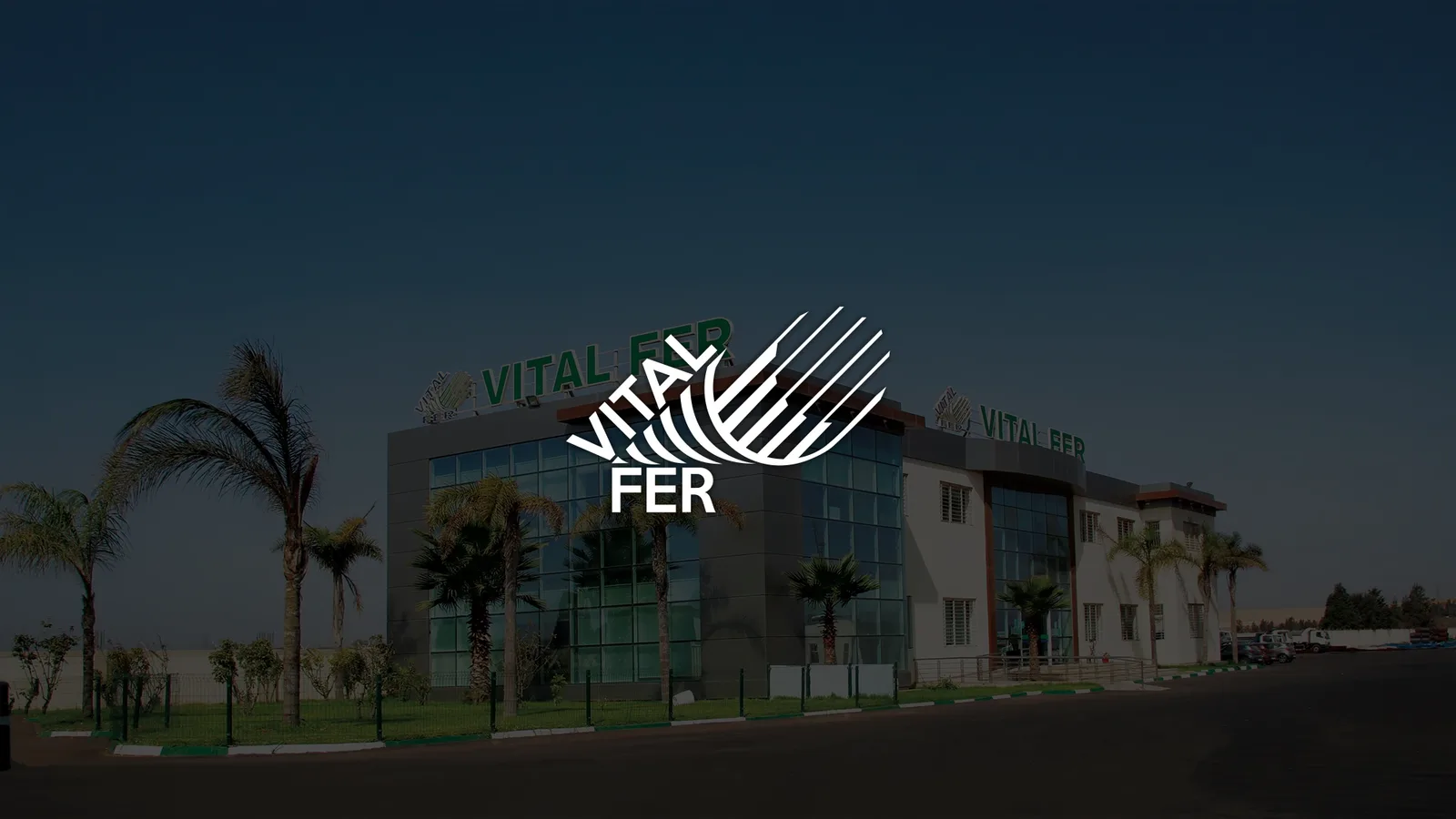 Vital Fer — aperçu