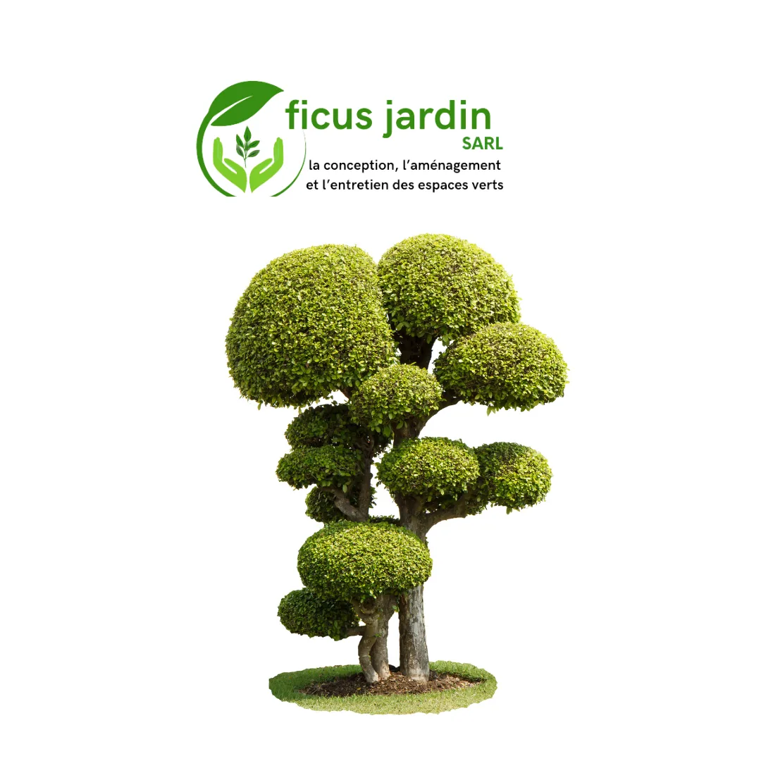 Les  Arbres en boules