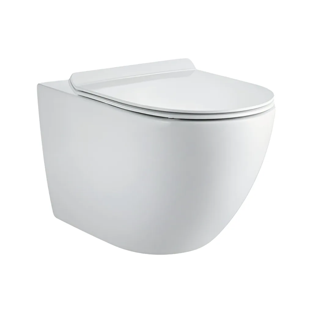 Toilette Suspendue Blanche