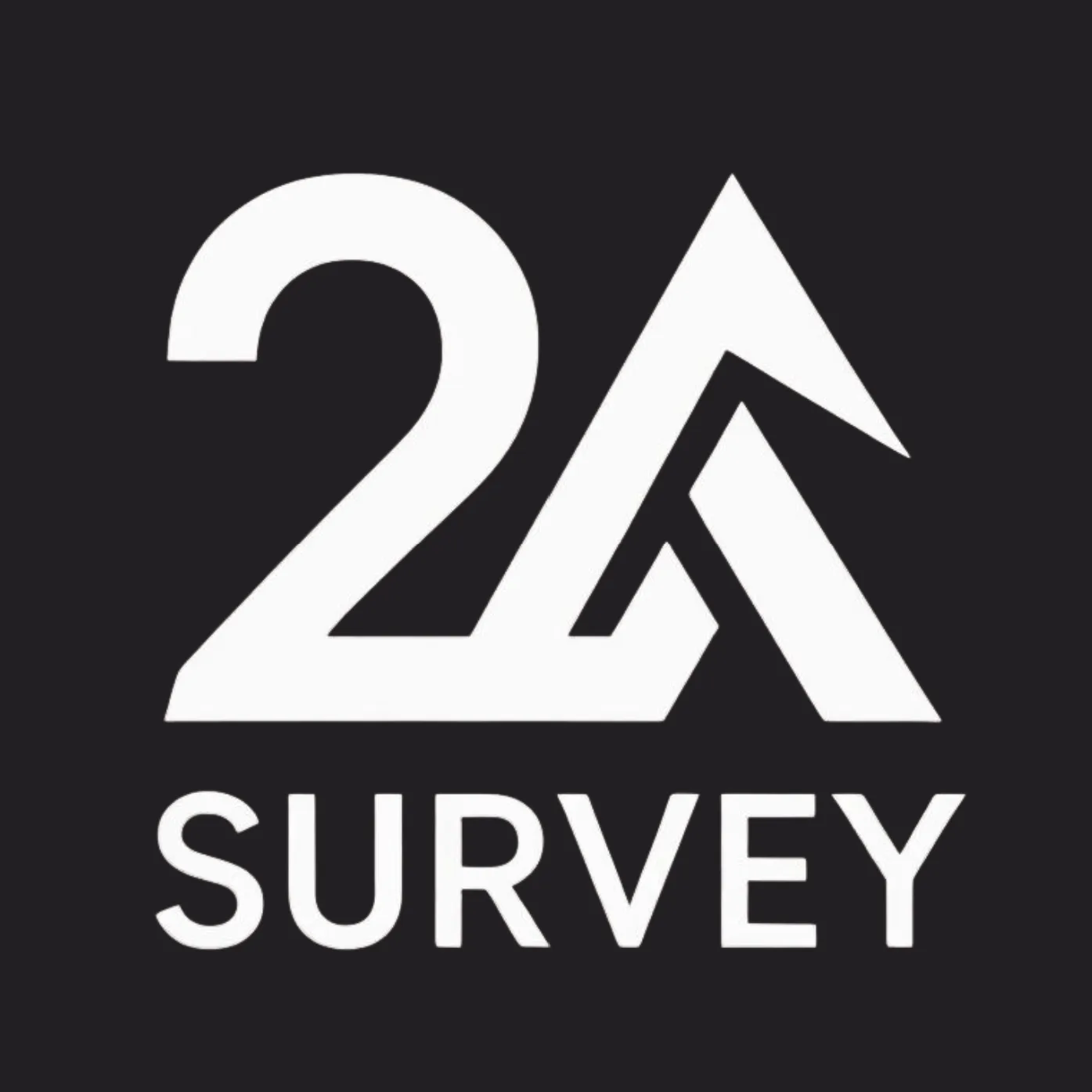 2A SURVEY