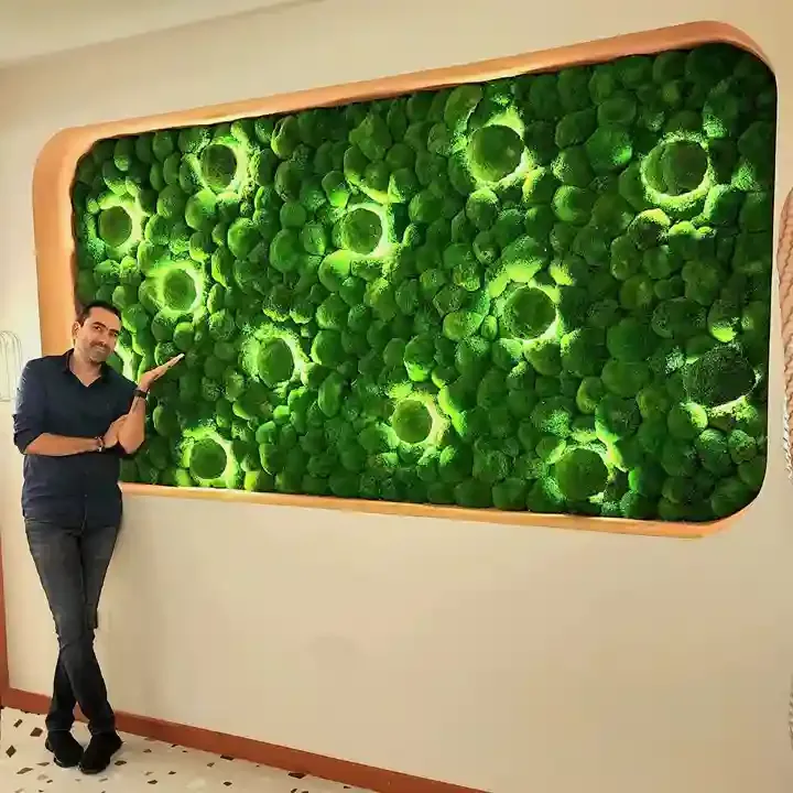 Mur végétal stabilisé sur mesure