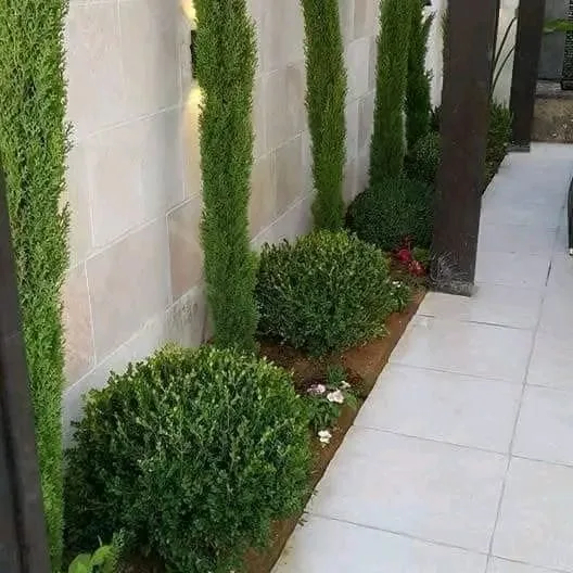 Aménagement paysager de la villa