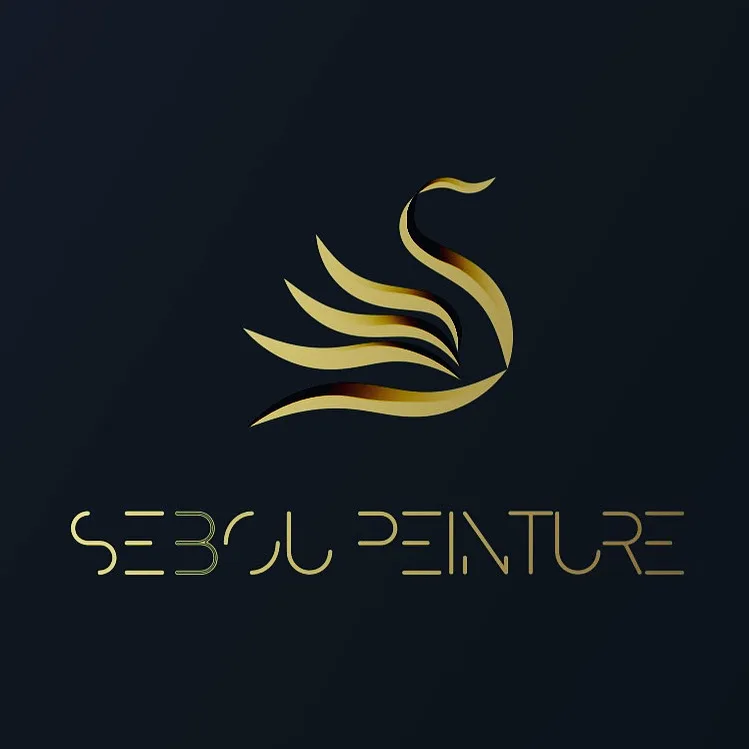 Sebou Peinture 