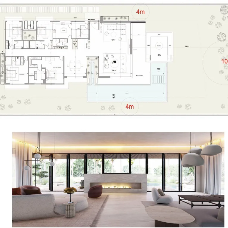 conception plan