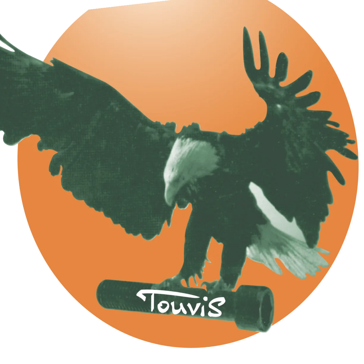 Touvis