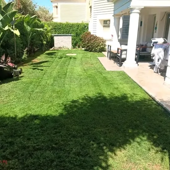 Aménagement paysager de la villa