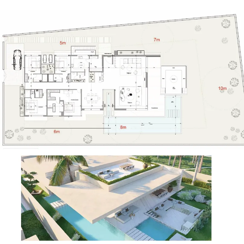 conception plan