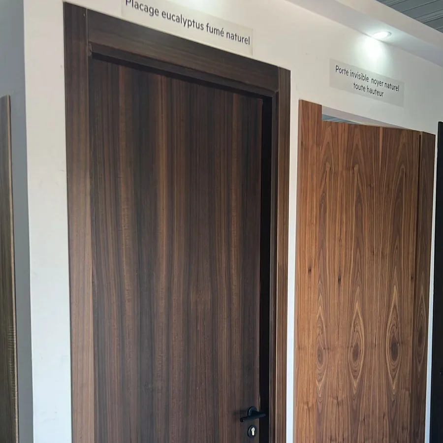 Porte en placage naturel 