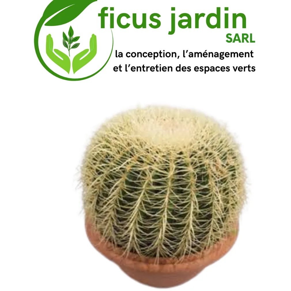 Cactus de jardin