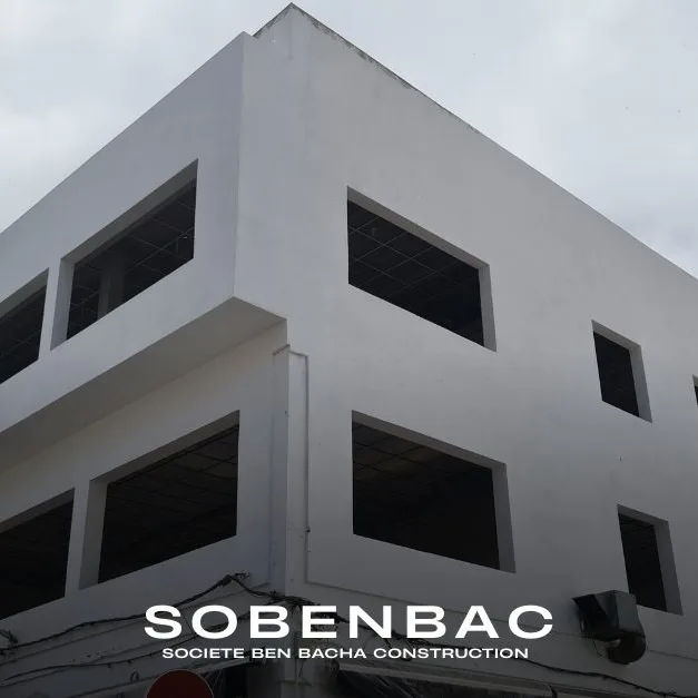 Métamorphose d'un Immeuble Commercial