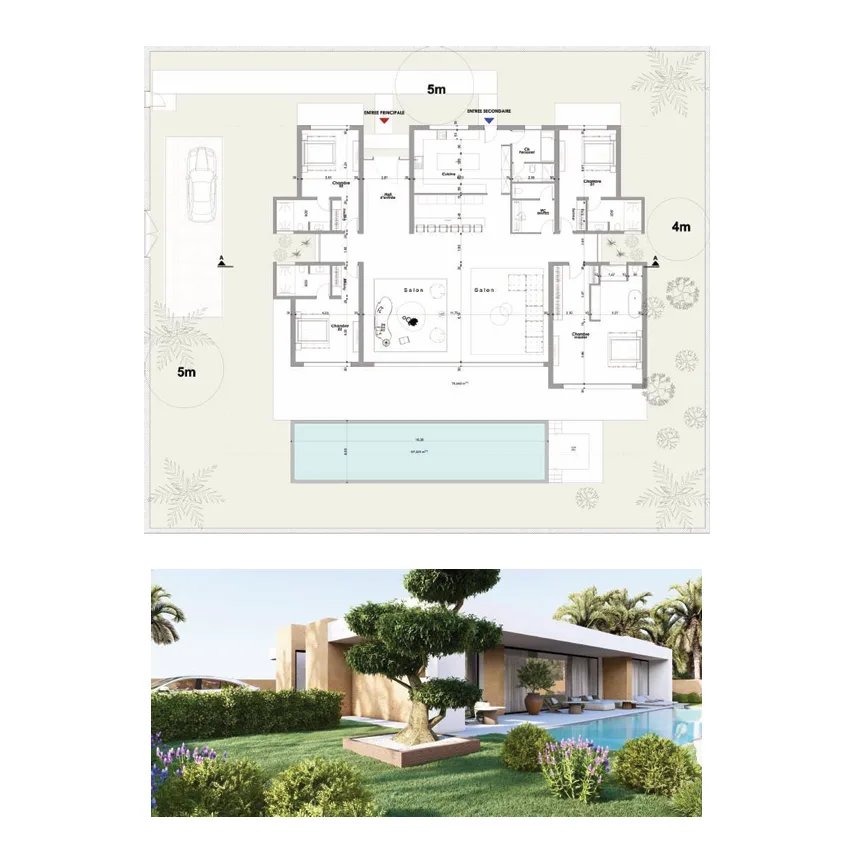 conception plan