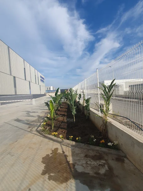 Usine Calsine — zone TAC2, Tanger